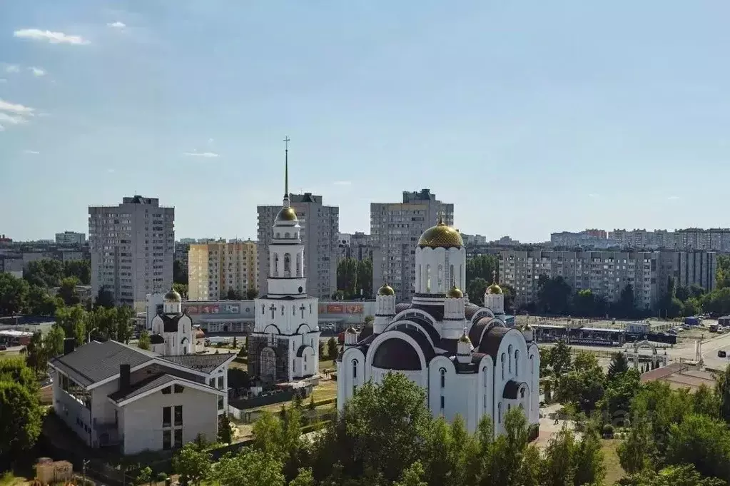 2-к кв. Воронежская область, Воронеж ул. Владимира Невского, 48Г (63.2 ... - Фото 1