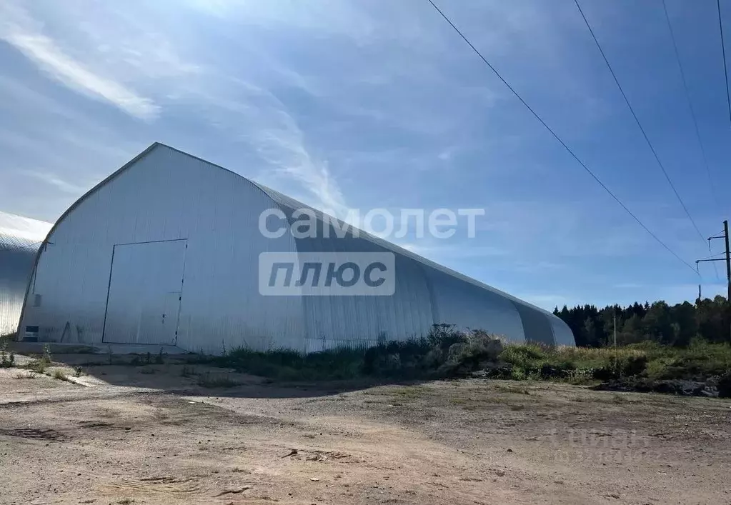 Склад в Московская область, Пушкинский городской округ, д. Цернское  ... - Фото 1