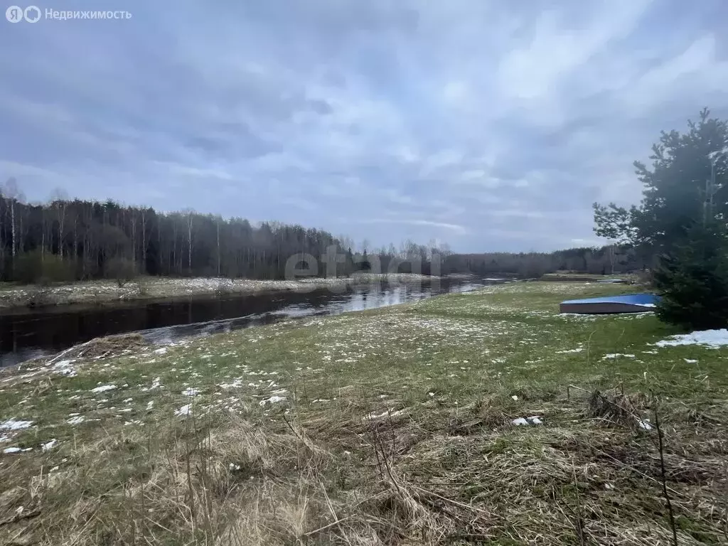 Участок в Вологодская область, Кадуйский муниципальный округ, село ... - Фото 2