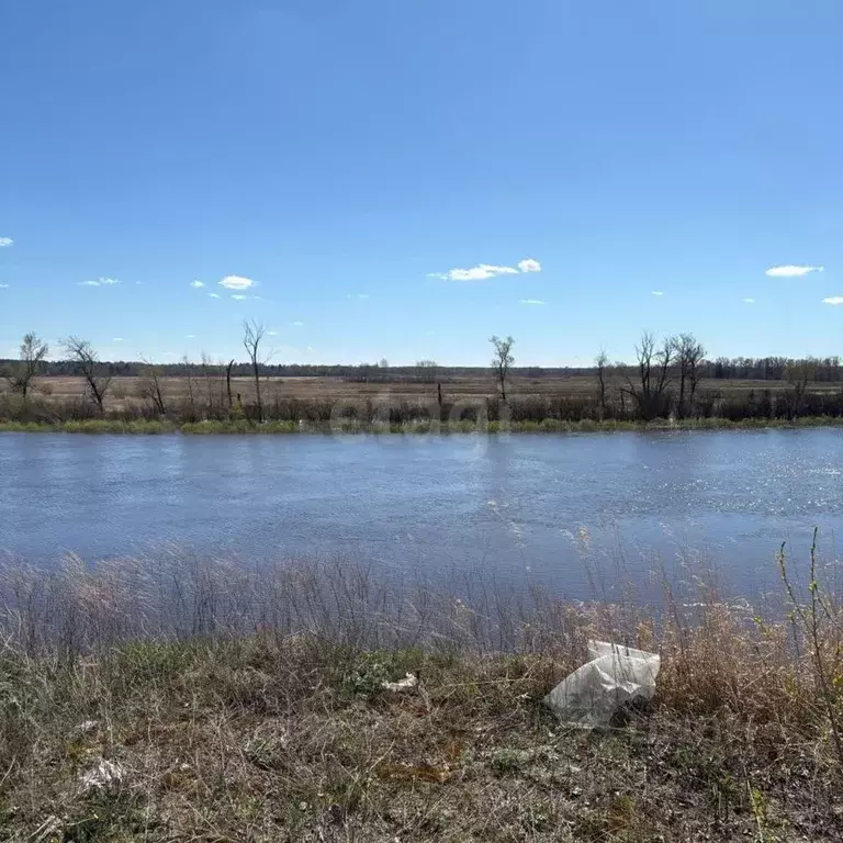 Участок в Тюменская область, Тюменский муниципальный округ, с. ... - Фото 2