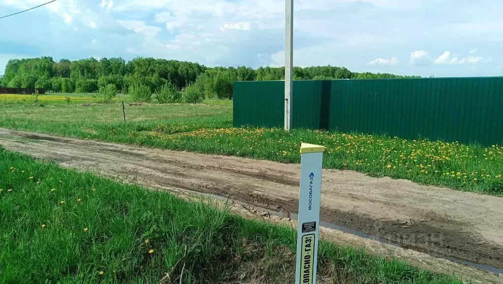 Участок в Московская область, Кашира городской округ, д. Никулино  ... - Фото 2
