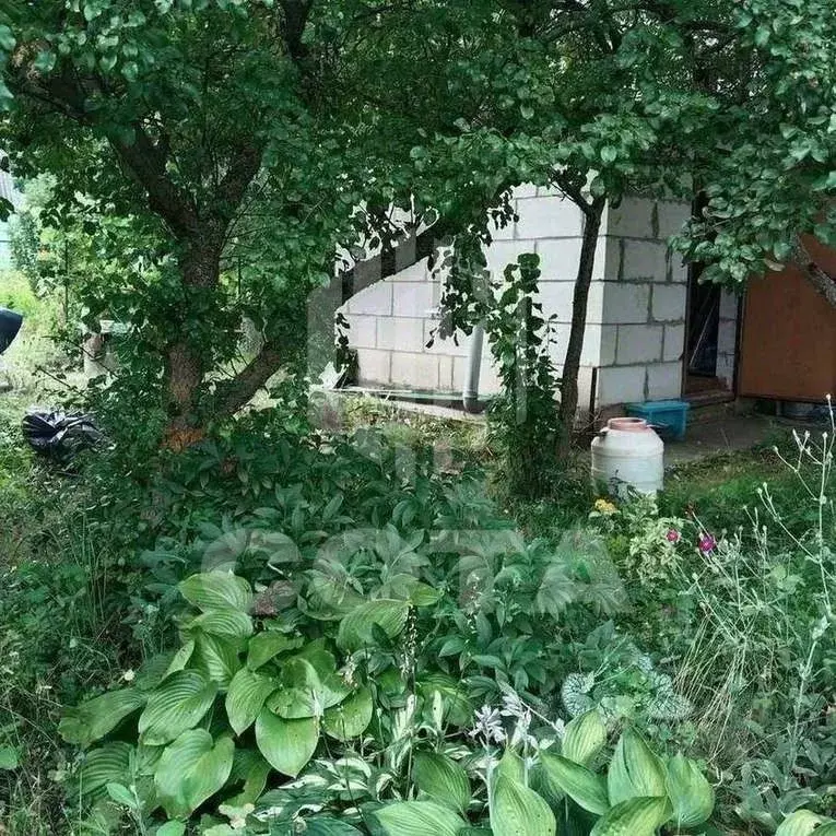 Дом в Воронежская область, Воронеж Вега-88 СНТ, ул. 2-я (30 м) - Фото 2