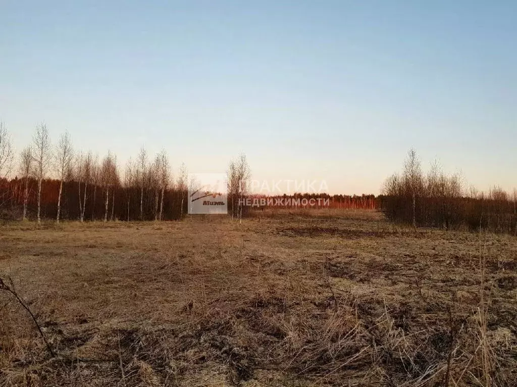 Продается участок в д. Следово - Фото 1