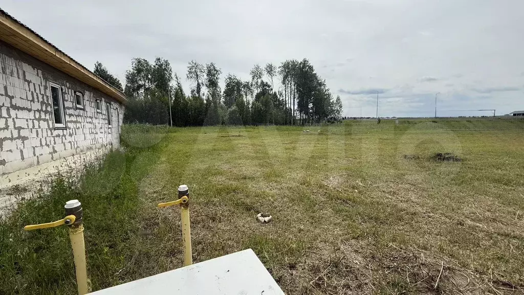 Участок 6,5 сот. (СНТ, ДНП) - Фото 1