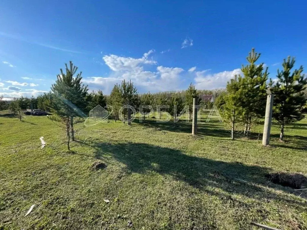 Участок в Тюменская область, Тюменский муниципальный округ, с. Успенка ... - Фото 2