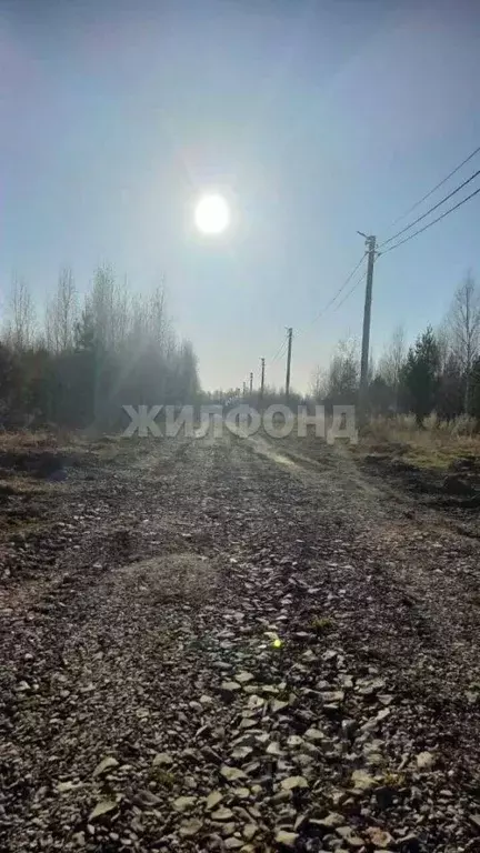 Участок в Новосибирская область, Новосибирский район, Кубовинский ... - Фото 1