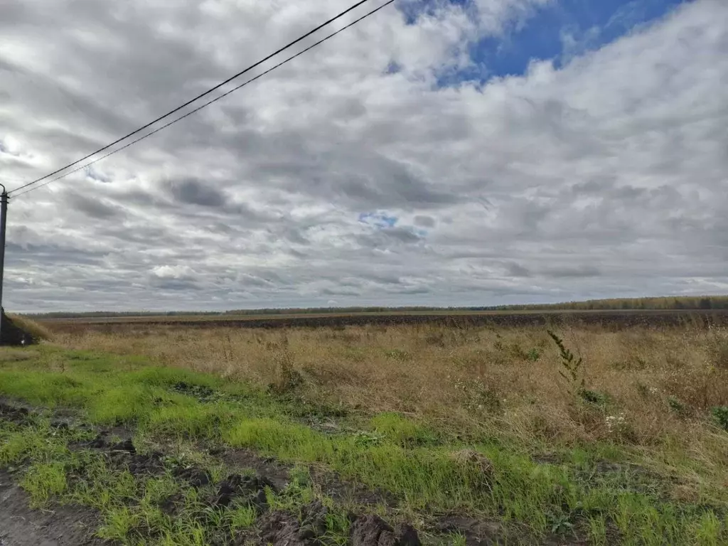 Участок в Тюменская область, Тюменский район, с. Каменка  (7.0 сот.) - Фото 0