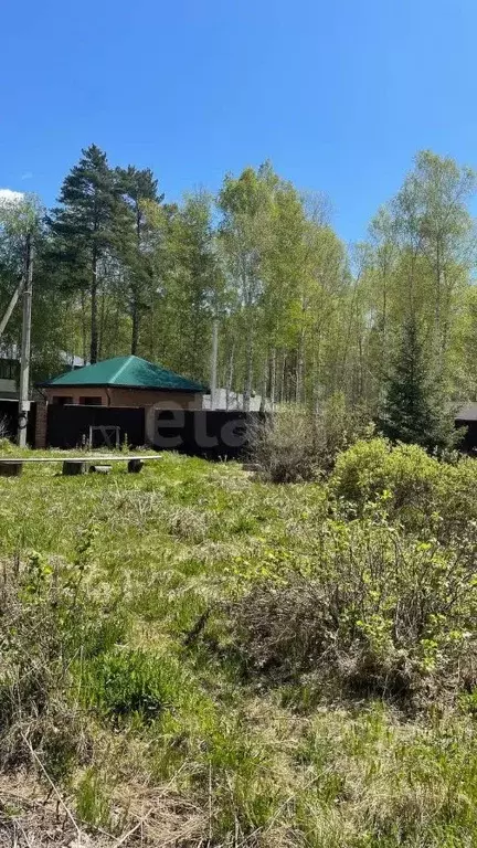 Участок в Иркутская область, Иркутский муниципальный округ, Падь ... - Фото 2