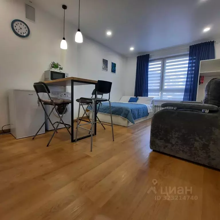 Студия Новосибирская область, Новосибирск ул. Фрунзе, 252/1 (25.0 м) - Фото 1