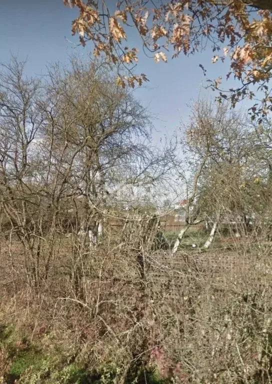 Участок в Калининградская область, Гурьевский муниципальный округ, ... - Фото 2