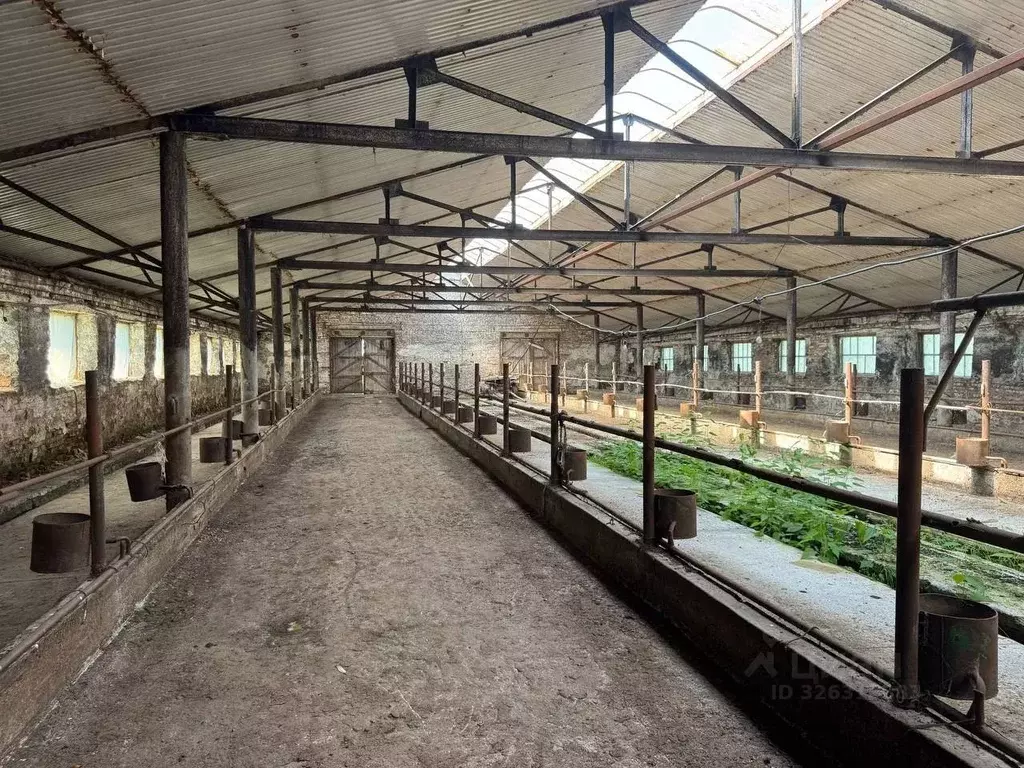 Производственное помещение в Алтайский край, Смоленский район, с. ... - Фото 1