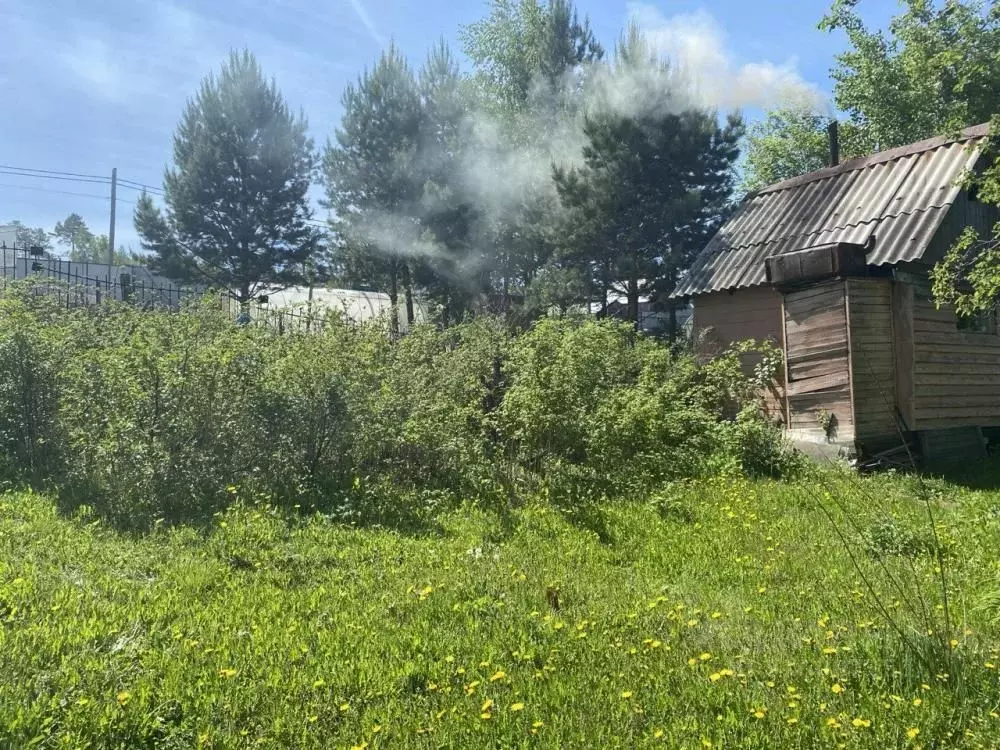 Дом в Иркутская область, Иркутск  (45 м) - Фото 1