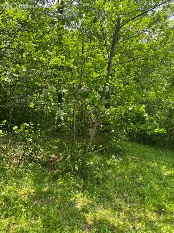 Участок в Краснодарский край, городской округ Сочи, село Высокое, ... - Фото 1