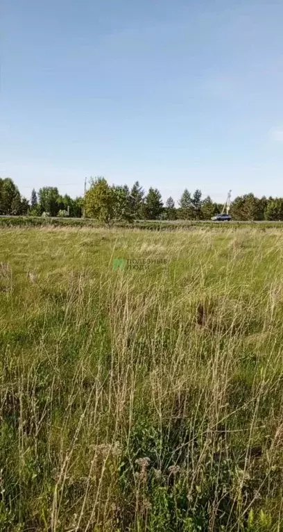 Участок в Курганская область, Кетовский муниципальный округ, с. ... - Фото 1