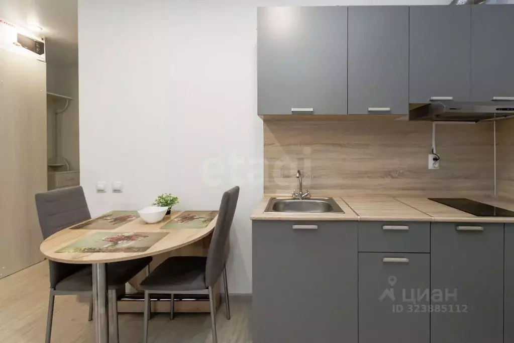 Студия Тюменская область, Тюменский муниципальный округ, д. Патрушева ... - Фото 2