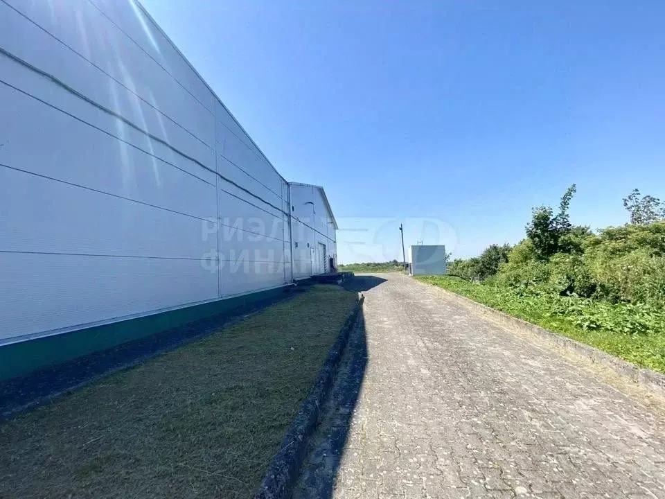 Помещение свободного назначения в Калининградская область, ... - Фото 1
