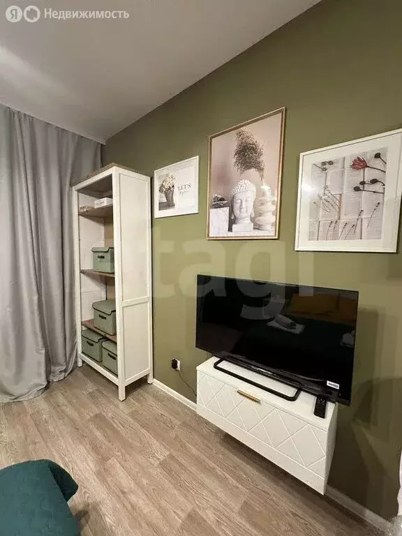Квартира-студия: Санкт-Петербург, Муринская дорога, 27к2 (21 м) - Фото 1