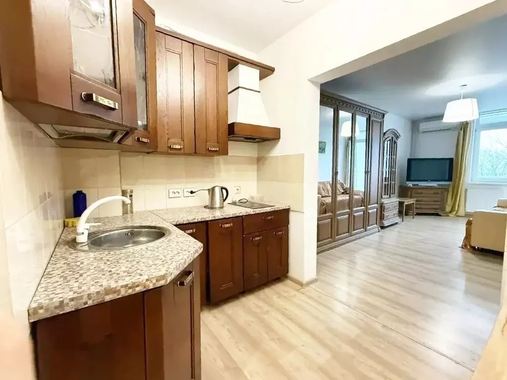 Студия Краснодарский край, Сочи ул. Ленина, 298б (29.3 м) - Фото 1