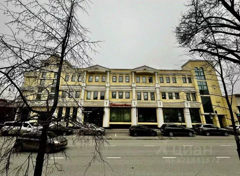 Помещение свободного назначения в Татарстан, Казань Профсоюзная ул., ... - Фото 1