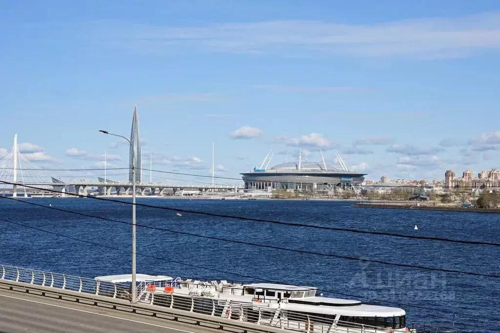 Студия Санкт-Петербург наб. Макарова, 58с2 (25.0 м) - Фото 1