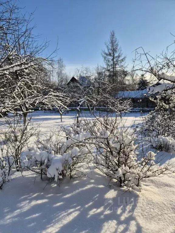 Участок в Московская область, Красногорск городской округ, д. ... - Фото 2