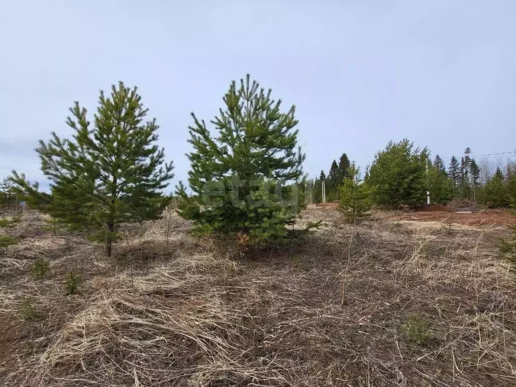 Участок в Удмуртия, Завьяловский район, ТСН Красная Горка тер. ул. ... - Фото 0
