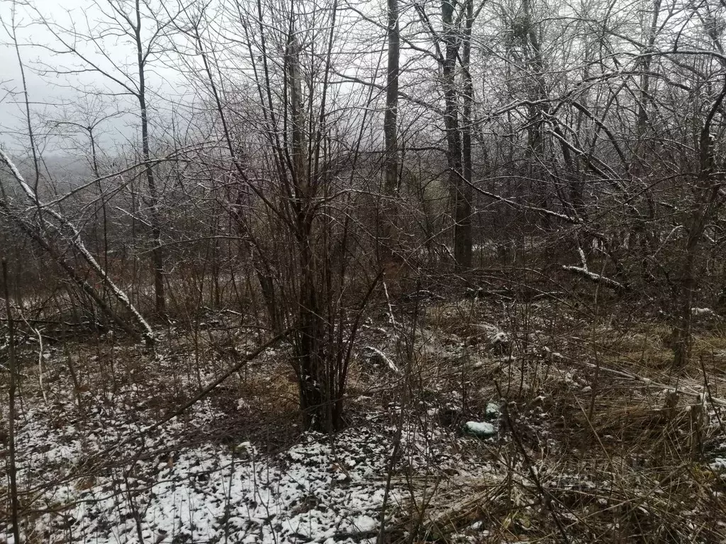 Участок в Краснодарский край, Апшеронский район, Нефтегорск пгт ул. ... - Фото 2