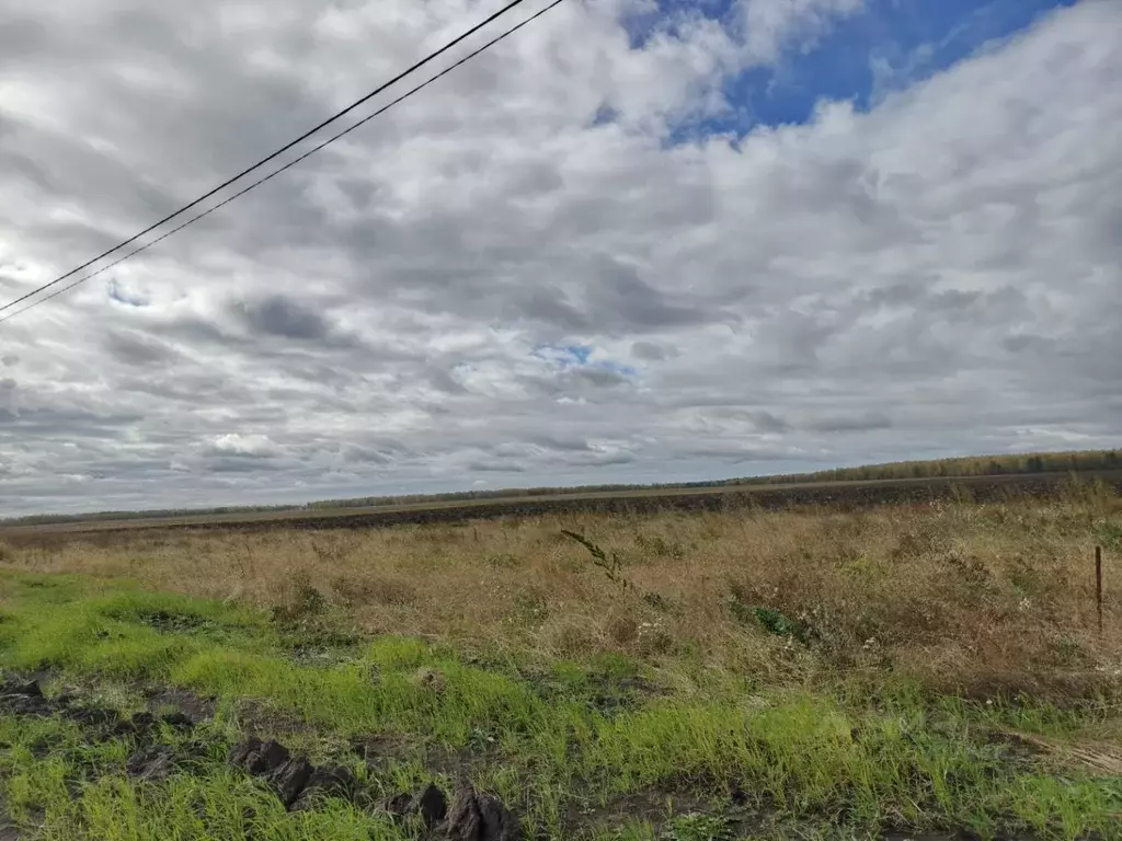 Участок в Тюменская область, Тюменский район, с. Каменка  (7.0 сот.) - Фото 1