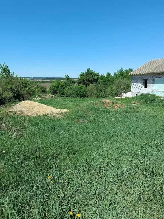 Участок в Липецкая область, Задонский район, Верхнеказаченский ... - Фото 0