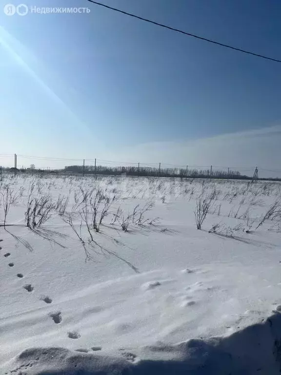 Участок в Мелеуз, Прибельская улица (27 м) - Фото 1
