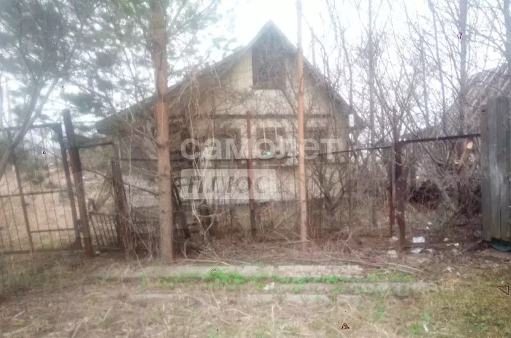 Дом в Вологодская область, д. Мостища 7А (33 м) - Фото 2