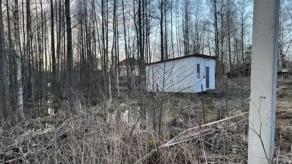 Участок в Санкт-Петербург Поселок Лисий НОС, Раздельная тер.,  (12.0 ... - Фото 2