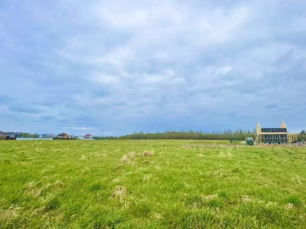 Участок в Ленинградская область, Лужский район, Заклинское с/пос, д. ... - Фото 1