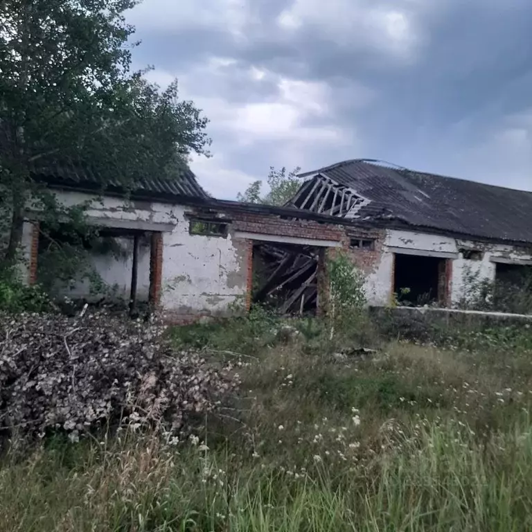 Помещение свободного назначения в Пензенская область, Кузнецкий район, ... - Фото 1