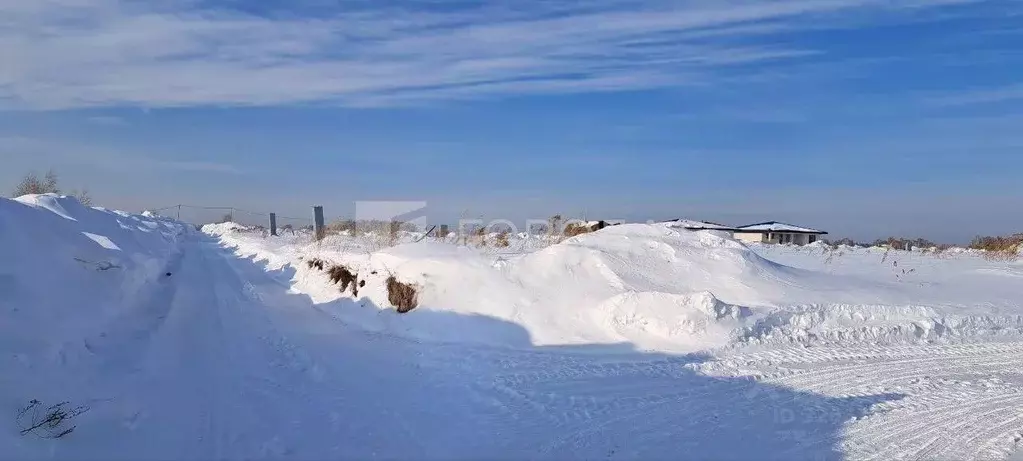 Участок в Новосибирская область, Мошковский район, Фридом Вилладж кп  ... - Фото 1