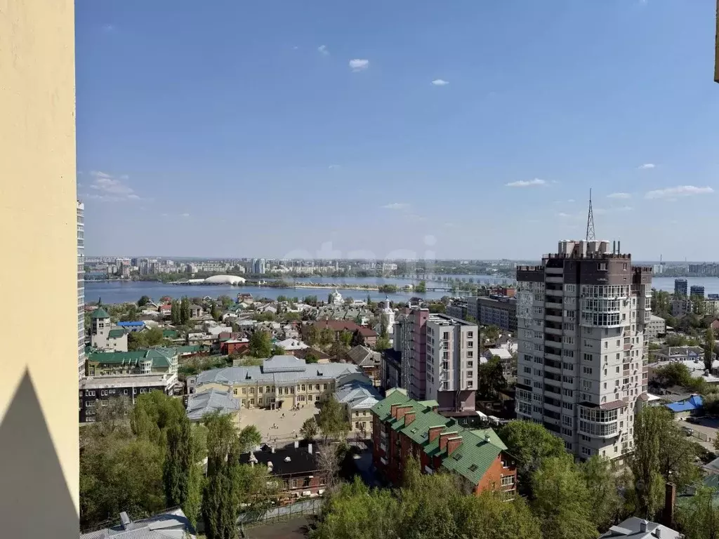 2-к кв. Воронежская область, Воронеж просп. Революции, 9а (93.1 м) - Фото 2