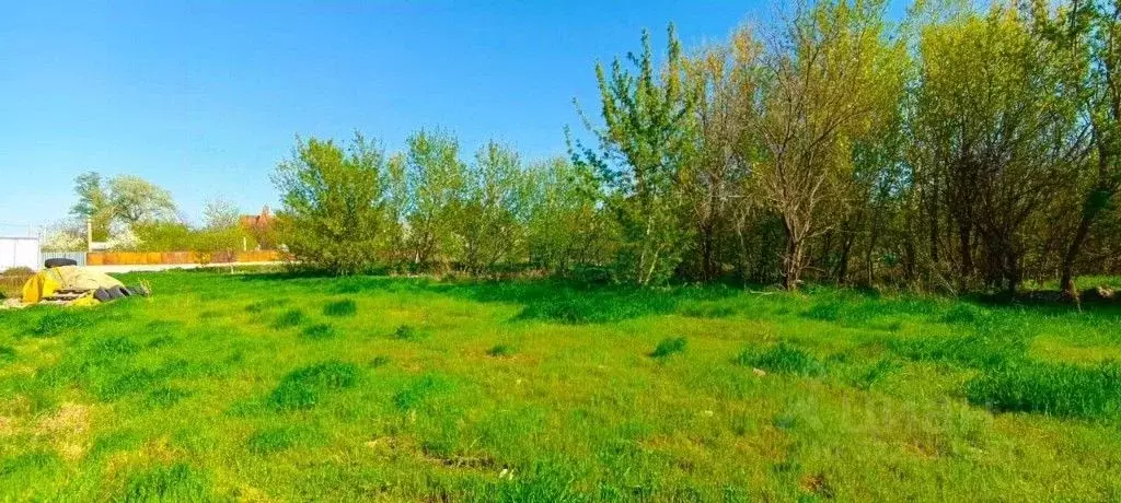 Участок в Ростовская область, Азовский район, Елизаветинское с/пос, ... - Фото 1