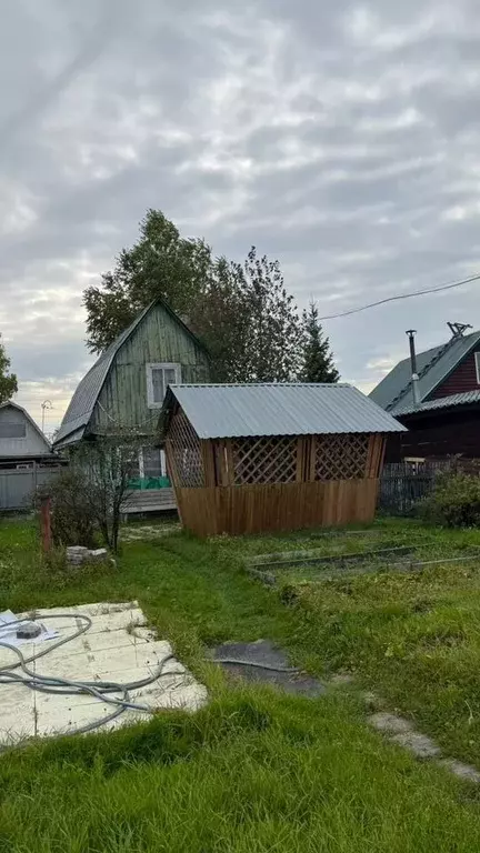 Дом в Новосибирская область, Новосибирск Лилия СНТ, ул. Центральная ... - Фото 2