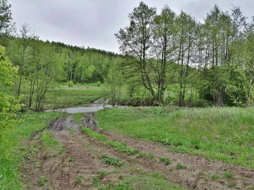 Участок в Пензенская область, Городищенский район, с. Павло-Куракино  ... - Фото 1