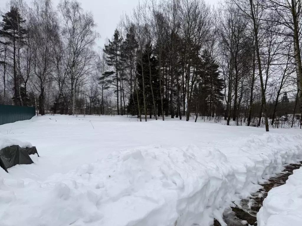 Участок в Московская область, Наро-Фоминск ул. Рябиновая (13.0 сот.) - Фото 2