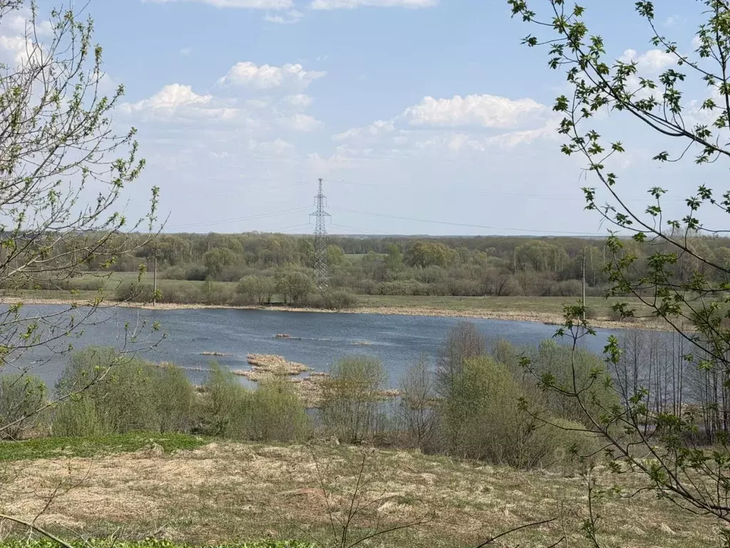 Участок в Нижегородская область, Нижний Новгород городской округ, д. ... - Фото 2