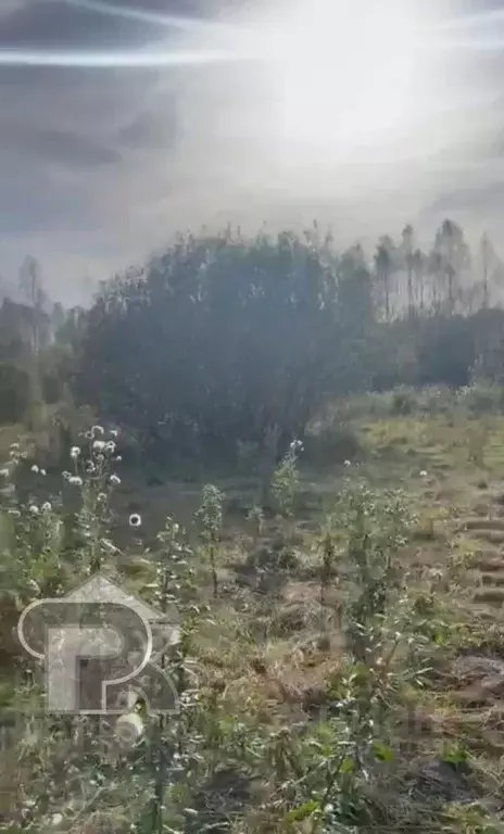 Участок в Московская область, Солнечногорск городской округ, д. ... - Фото 1