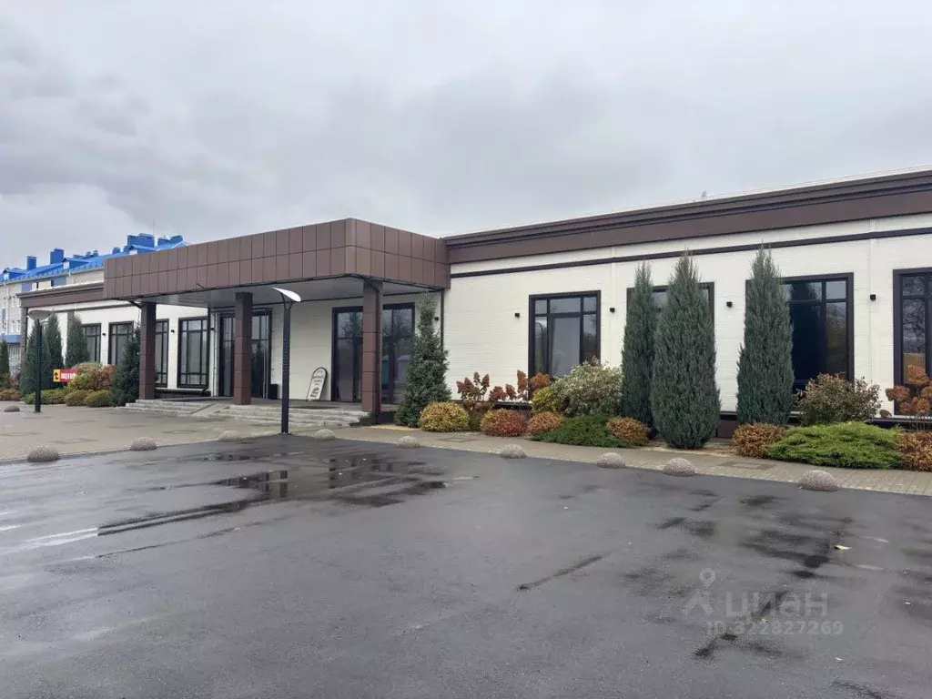 Торговая площадь в Воронежская область, Бутурлиновка ул. ... - Фото 1