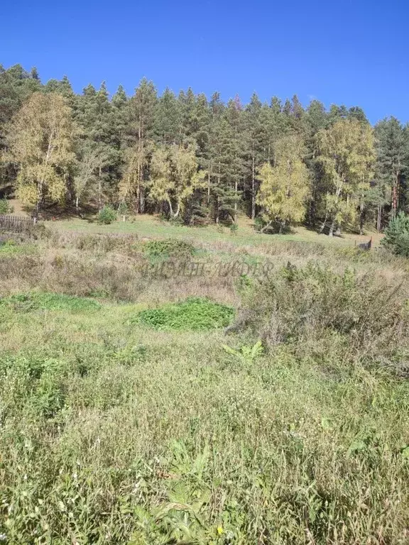 Участок в Алтай, Чемальский район, Узнезинское с/пос, с. Узнезя  (10.0 ... - Фото 2