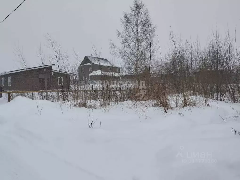 Участок в Новосибирская область, Новосибирский район, Криводановский ... - Фото 0