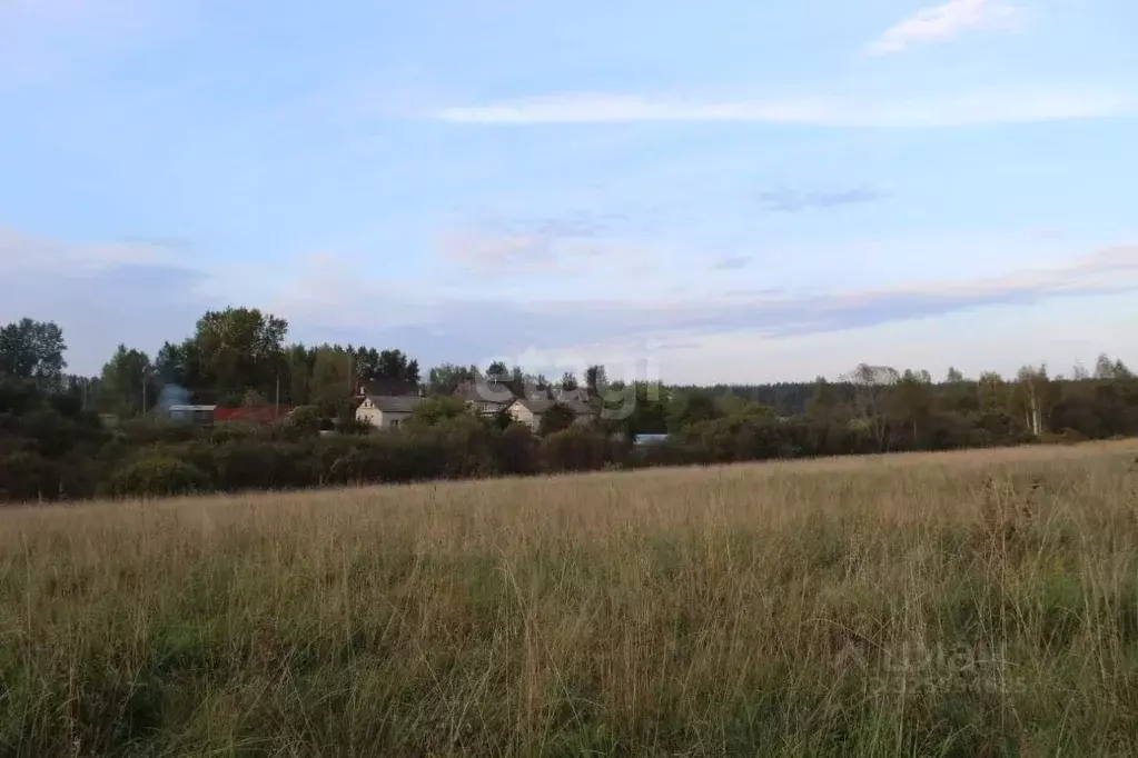 Участок в Псковская область, Пушкиногорье городское поселение, д. ... - Фото 2