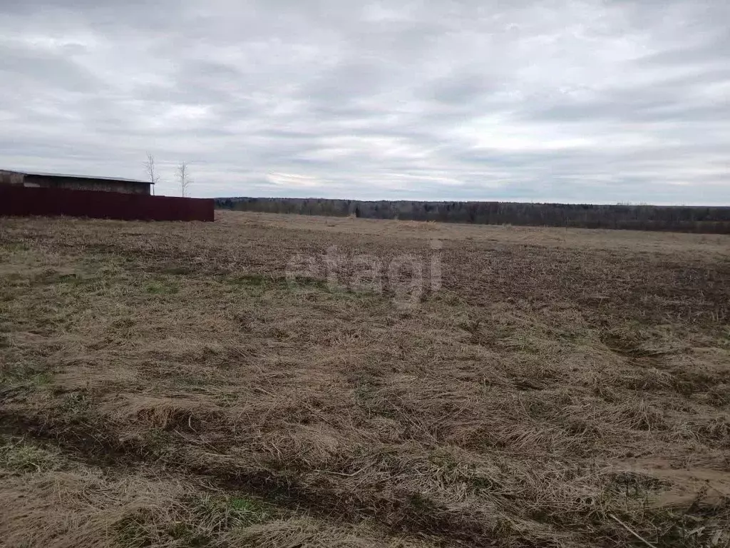 Участок в Вологодская область, д. Токарево (Спасский сельсовет) пер. ... - Фото 1
