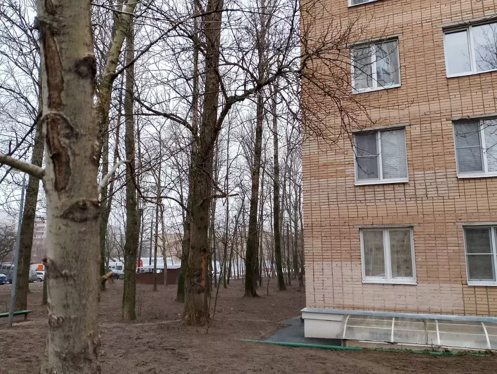 Студия Москва ул. 50 лет Октября, 2К2 (19.0 м) - Фото 2