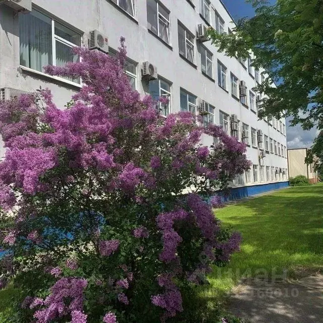 Офис в Санкт-Петербург просп. Культуры, 44 (35 м) - Фото 1
