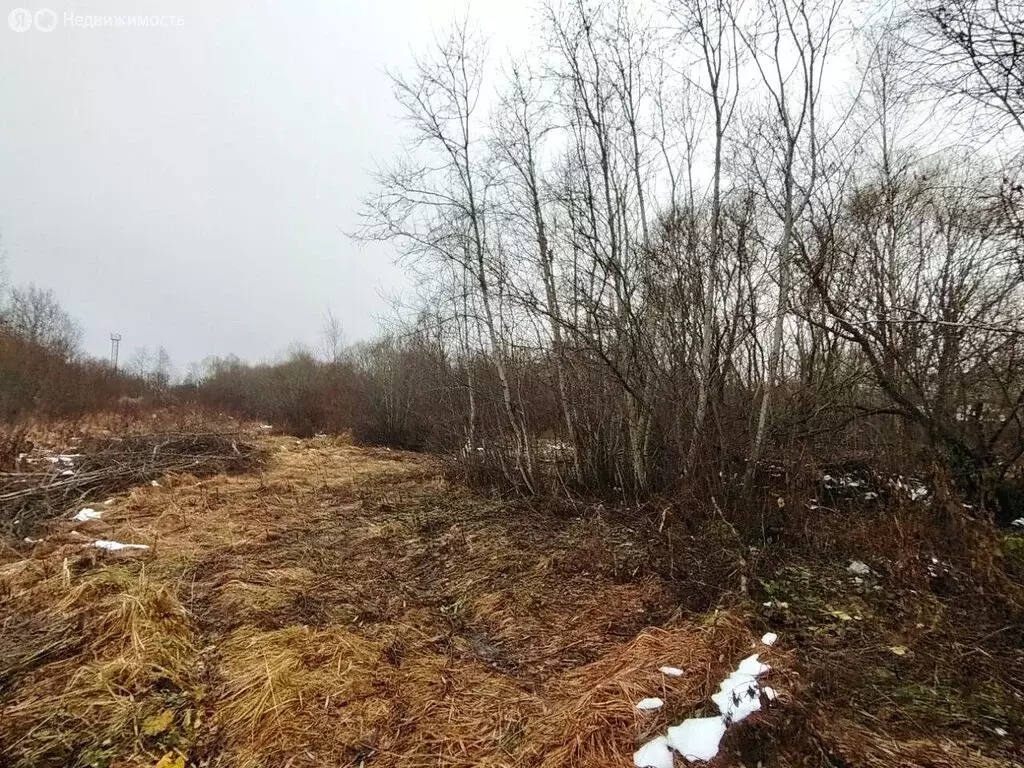 Участок в Волхов, улица Репина (10.6 м) - Фото 1